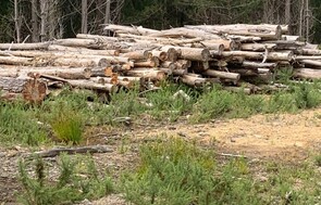 Old man Pine and Pine Hot Mix. - A 50/50 mix of Pine and Old Man Pine. Use the Pine to get the Fire started then add the Old Man Pine for a longer hotter burn. $150 per m3 based on a load of 4m3 or more.