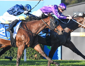 AHA Racing&rsquo;s Phenomenal Month: 4 Wins from 5 Horses in Just 30 Days!