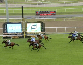 Triskelion Sprints Home for 3rd in Gold Coast Return