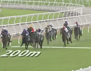 Rose Noir Almost Repeats with a Gallant 2nd at Ipswich