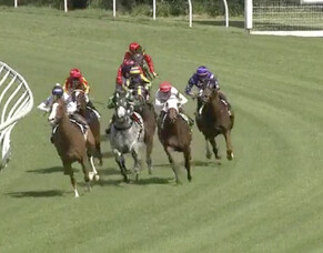 Vin Santo Runs On Strongly for 3rd at Wyong