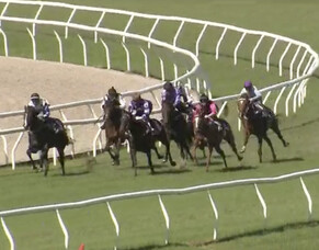 Dubious Rose travels beautifully in her first ever trial