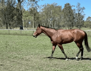 Gaylord Returns from Break in Top Shape