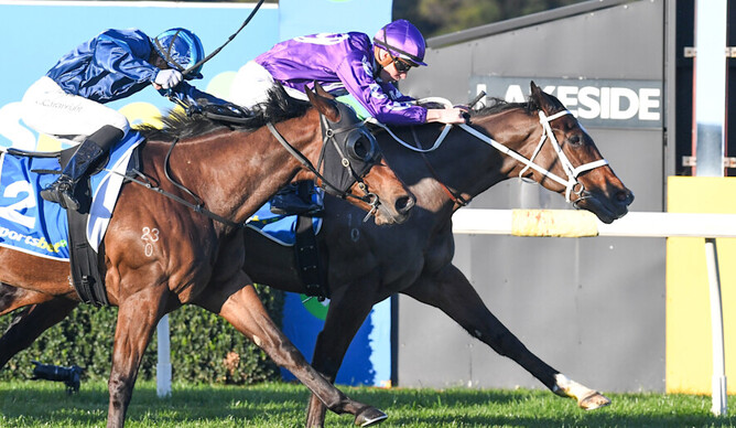Kerangs Jye McNeil racks up his first win of the new racing season with the Chris Waller trained Mr Vivaci in the $50,000 Sportsbet More Places Handicap at Sandown Lakeside on Sunday. Picture: Brett Holburt/Racing Photos