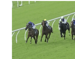 Le Chocolat Breaks Through with Dominant Maiden Win at Eagle Farm