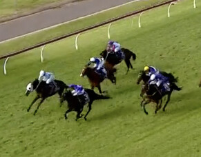 Rose Noir a Valiant 2nd