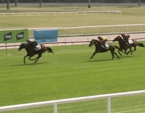 Triskelion Back in Form with Impressive Trial Win