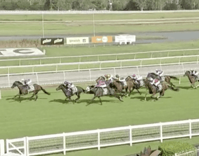 Rose Noir &ndash; 2nd in Race 5 at Ipswich