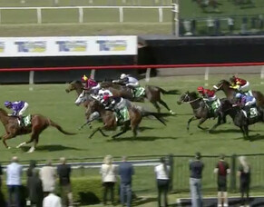 Vin Santo Dominates Maiden Win as AHA Racing&rsquo;s Hot Streak Continues