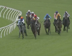 Triskelion charges home for close 3rd at Aquis Park