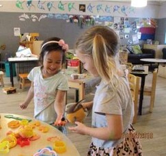 Faith the Fantail visits CBK