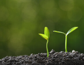 Building a Christ-centred Organisational Culture