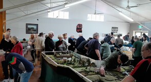 The Crowds enjoying the day