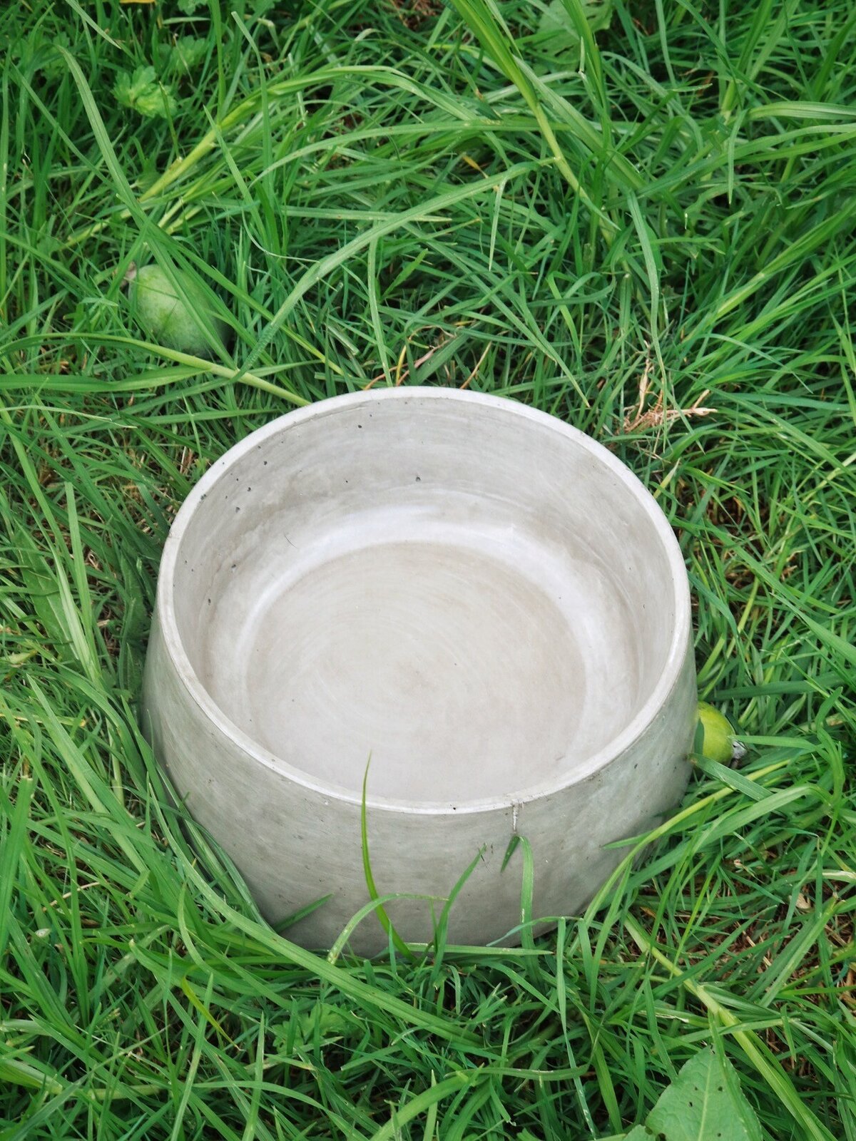 Concrete dog bowls for sale best sale