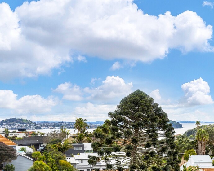 Auckland Architectural House Design