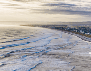 Internship Opportunity - Te Wahapū o Waihī