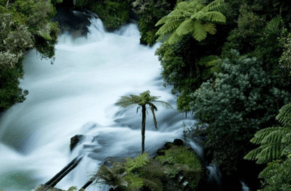 Taheke 8C Hydro-Electric Scheme Proposal - TIA Response