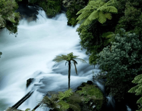 TAHEKE 8C HYDRO-ELECTRIC SCHEME PROPOSAL - TIA Response