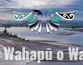 Te Wahapū o Waihī - Kaiwhakahaere Internship Supervisor