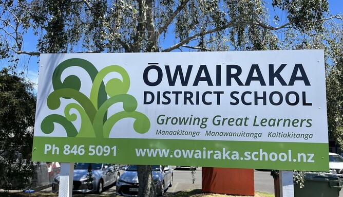 Owairaka School Sculpture Project (Auckland)