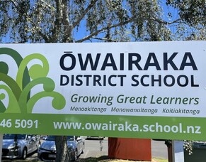 Owairaka School Sculpture Project (Auckland)