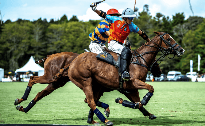 Polo team support, high goal nz polo