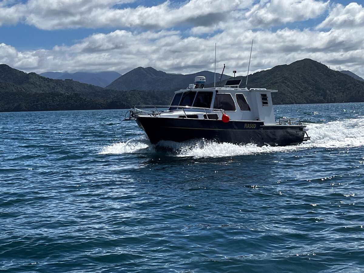 Boats for Sale in NZ | Listings | NORTH TO SOUTH BROKERS