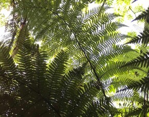 Building a responsible business from the ground up