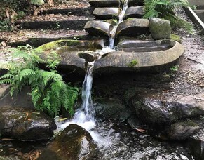 Giving Back To Lake Te Koutu