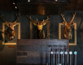 8 of the Best Pubs in Cambridge New Zealand