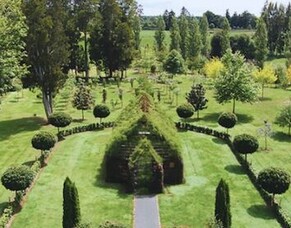 Hidden Gems &ndash; The Church Grown From Trees