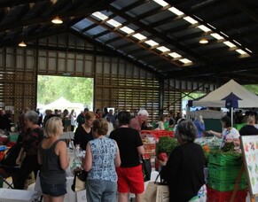 The Best Weekend Markets in Hamilton and the Waikato