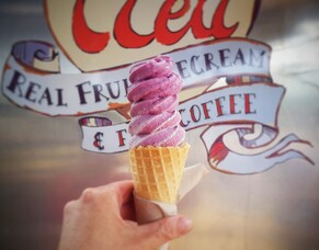 Local Tourists - Northland Gems for Summer Fun