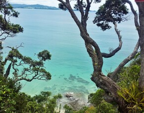 Secret Paradise Found - Just Down the Road