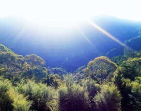 Careful What You Ask For, You Might Just Get It...