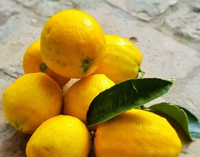 A Citrus Celebration & Recipes for Sharing