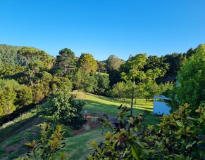 A Search for Happy and the Journey Home