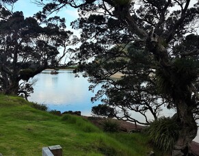 Winter&#039;s Light Shines on a Local Treasure