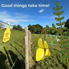 Good things take time!