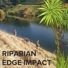 Riparian edge impacts