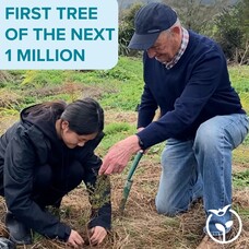First Tree Planted