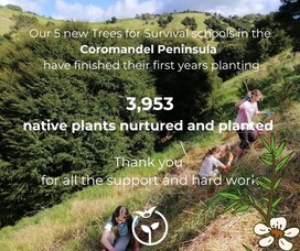 Coromandel Peninsula