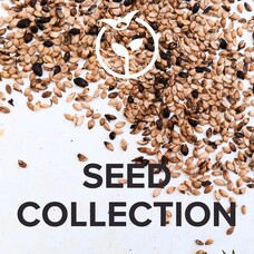 Seed Collection