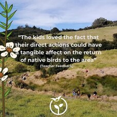 Bringing back birdsong