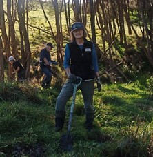 24  Years of Planting