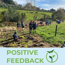 Feedback