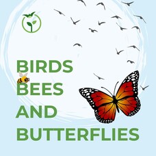 Birds, Bees and Butterflies