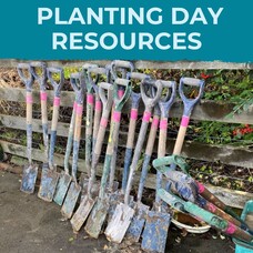 Facilitator resources