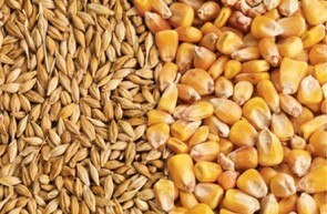 Lock in your feed costs now. We'll store it until you're ready to use it.