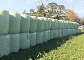 Baleage is seasonally available